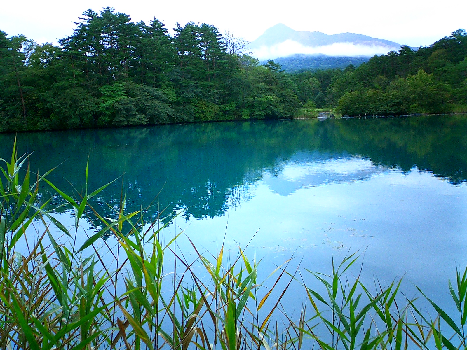 Fukushima